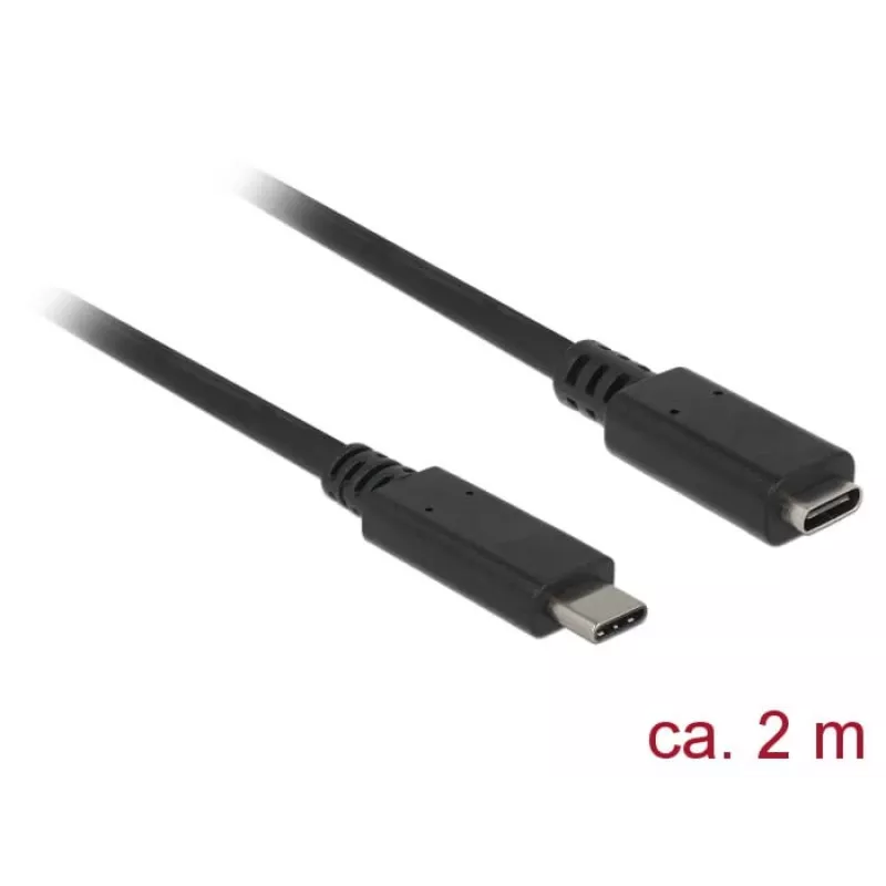 USB ilginimo laidas Delock SuperSpeed USB 3.2 Gen 1 2m USB C juodas