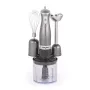 Salter EK2827GUNMETALFVDE Cosmos 3 viename blenderio rinkinys