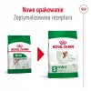 Sausas šunų ėdalas Royal Canin Adult Mini S 8 kg – visavertis maistas mažiems suaugusiems šunims