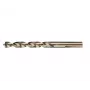 Gręžtuvas Extreme HSS 10,0 mm