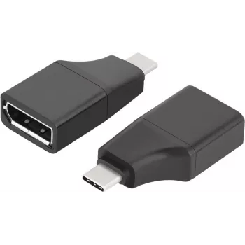 ROTRONIC-SECOMP VALUE - vaizdo adapteris - 24 kontaktų USB-C (kištukas) į DisplayPort (lizdas)