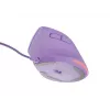 NATEC Crake 2 Pro pelė, vertikali, dešinei rankai, USB-A, optinė, 12800 DPI, violetinė
