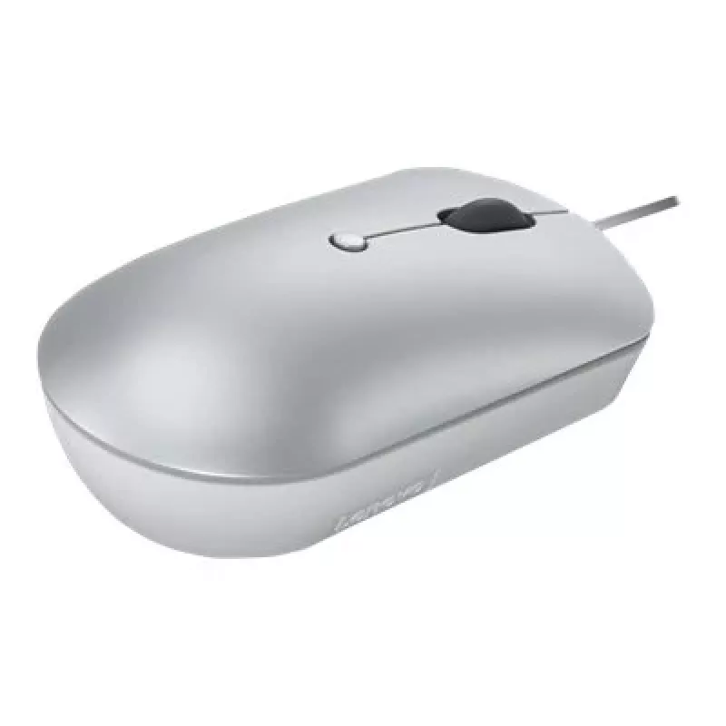 Laidinė optinė ambidekstrinė pelė Lenovo 540 USB Type-C, 3 DPI režimai, pilka, 4 mygtukai, 1,8 m laidas