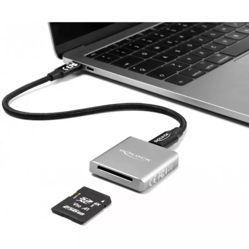 DeLOCK 91006 SD kortelių skaitytuvas pilkas USB Type-C 10000 Mbit/s