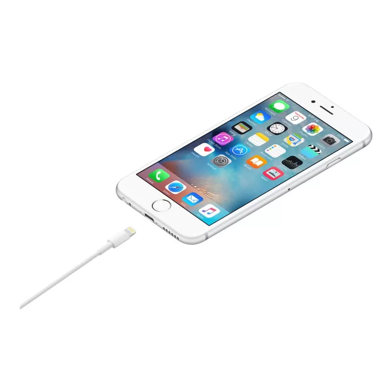 Apple Lightning į USB laidas 1m MUQW3ZM/A