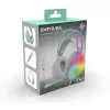 Cian Technology GmbH INCA Gaming ausinės IGK-X8Y 7.1 USB RGB-LED turkio spalvos - Ausinės