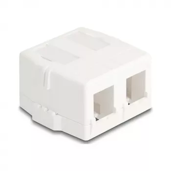 Įstatomas rėmelis DeLOCK 85843 Plastikinis Baltas 545x573x324 mm