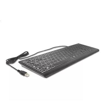 Delock 12170 USB klaviatūra su XXL raidėmis ir apšvietimu, 1,5 m, juoda