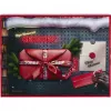 Gedore Advent Calendar R33003151 2025 – įrankių kalendorius, riboto leidimo rinkinys