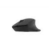Natec Wireless Mouse Siskin 2 belaidė pelė BT 5.0 + 2,4 GHz