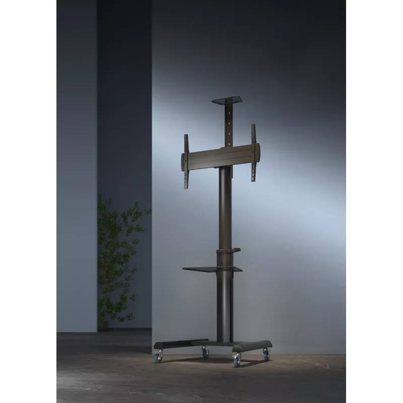 Grindinis TV stovas Gembird TVS-70T-02 37–70 col., 70 kg, VESA 200x200–600x400, pakreipiamas, reguliuojamas aukštis, ratukai