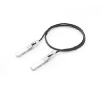 Cisco 25GBASE-CU SFP28 laidas 2 metrai