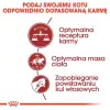 Royal Canin Feline Fit 2kg sausas kačių ėdalas suaugusioms katėms