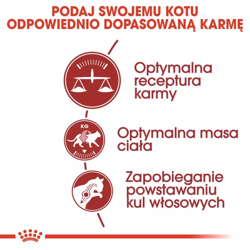Royal Canin Feline Fit 2kg sausas kačių ėdalas suaugusioms katėms