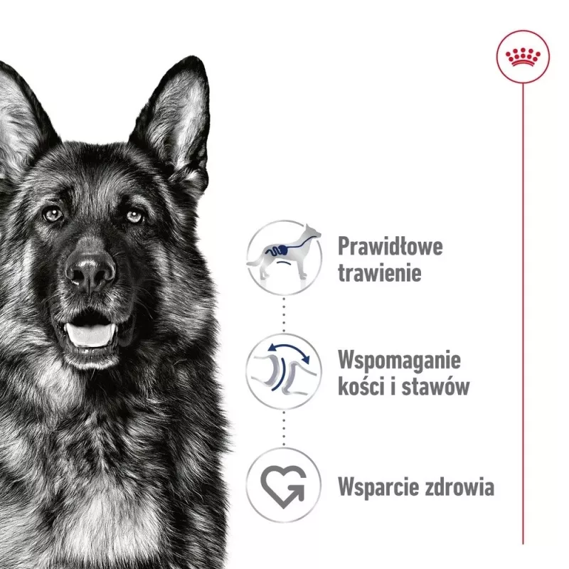 ROYAL CANIN SHN Maxi Adult Loaf Can 410g