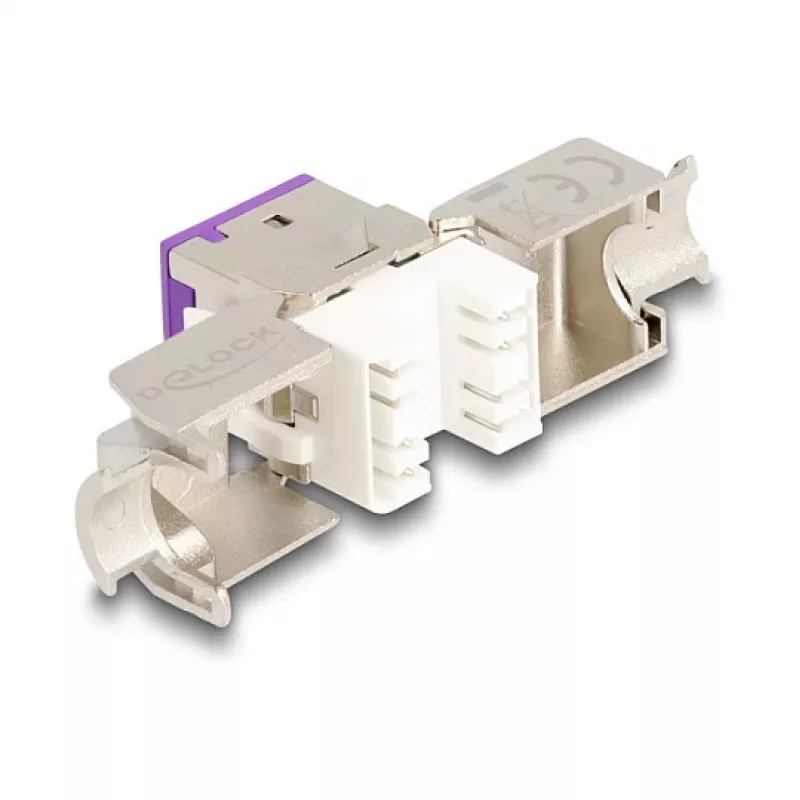 DeLOCK keystone modulis 88121 Plokščias Violetinis RJ-45 10 vnt.