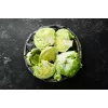 Sėklos Crisp Ice Lettuce Summer Toraf salotos, 1g pakuotė