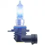 Automobilinė halogeninė lemputė HIR2 Ledvance Cool Blue Intense NextGen 12V 55W