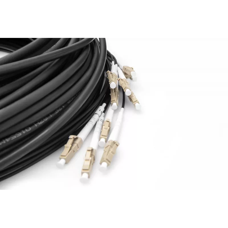 Breakout laidas Digitus DK-2433CU030BK-BBB 30m OM4 12 pluoštų LC/UPC
