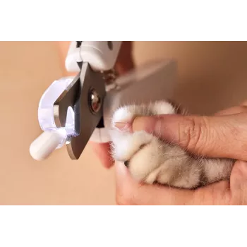 PETKIT LED žibintuvėliu patobulintas nagų kirpimo įrankis šunims ir katėms PRO