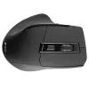 Pelė Tracer Cozy RF 2.4 GHz belaidė optinė dešinei rankai 1600 DPI