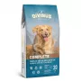 DIVINUS Complete Adult sausas šunų ėdalas - 20 kg