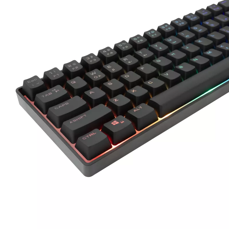 Klaviatūra White Shark GK-001114 Gladius US