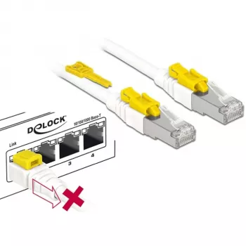 DeLOCK 85330 tinklo kabelis RJ-45 Cat6a 0,5 m baltas