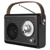 Nešiojamas radijo imtuvas Savio RS-01 Analog Black