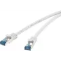 Tinklo laidas Renkforce RJ45 CAT 6a S/FTP 0,25 m Pilka