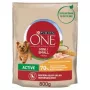 PURINA One Mini Active Vištiena, Ryžiai - Sausas šunų ėdalas - 800 g