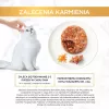 Šlapias kačių ėdalas maišeliuose Purina Gourmet Gold Savoury Cake Mix 48×85 g, suaugusioms katėms