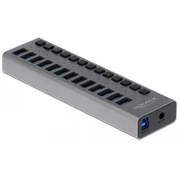 DeLOCK išorinis USB 3.2 Gen 1 (3.1 Gen 1) 13 prievadų jungiklis su maitinimo mygtukais, 5 Gbps, pilkas aliuminis, 1 m