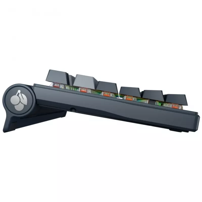 Mechaninė klaviatūra Cherry MX 8.3 Wireless RGB Red Switch DE išdėstymas