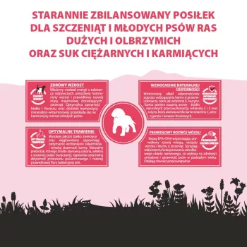 PUPIL Premium Junior didelėms ir labai didelėms veislėms Gausu jautienos - sausas šunų maistas - 12kg