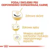 Sausas šunų ėdalas Royal Canin Shih Tzu Adult 7,5 kg – vištiena, 24% baltymų, 20% riebalų