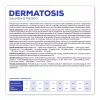 VET EXPERT Veterinary Diet Dermatosis Dog Salmon & Potato sausas šunų ėdalas - 12 kg
