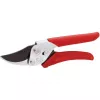 Wolf-garten 73AFA008650 Raudona