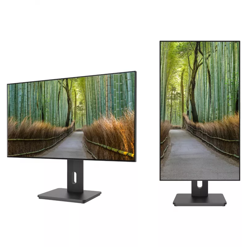 JAPANNEXT JN-27IPS4FLWQHDR-HSP 27 colių WQHD IPS monitorius