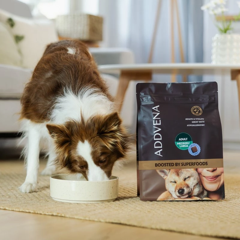 ADDVENA Boosted by superfoods suaugusiems vidutinėms/didelėms veislėms Jautiena - sausas šunų ėdalas - 2,5kg