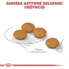 ROYAL CANIN Mini Dermacomfort – sausas ėdalas suaugusiems mažų veislių šunims su jautria, linkusia sudirgti oda – 3 kg