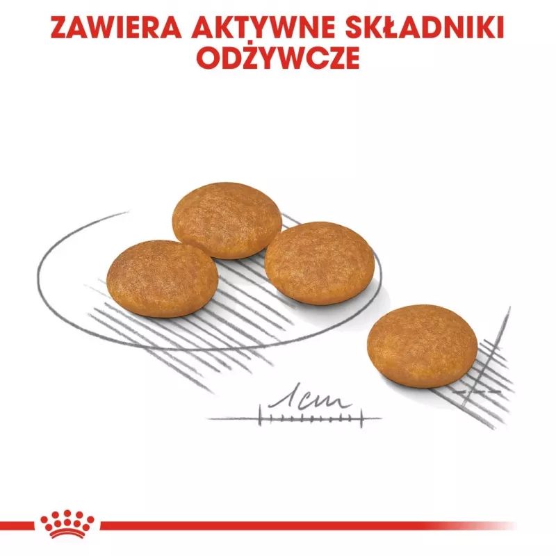ROYAL CANIN Mini Dermacomfort – sausas ėdalas suaugusiems mažų veislių šunims su jautria, linkusia sudirgti oda – 3 kg