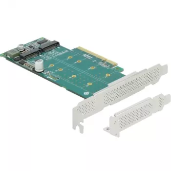 DeLOCK PCI Express x8 kortelė į 2 vidinius NVMe M.2 Key M lizdus su bifurkacija, žemo profilio formato