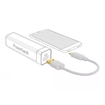 Įkrovimo laidas USB DeLOCK Type-A į USB Type-C 15 cm