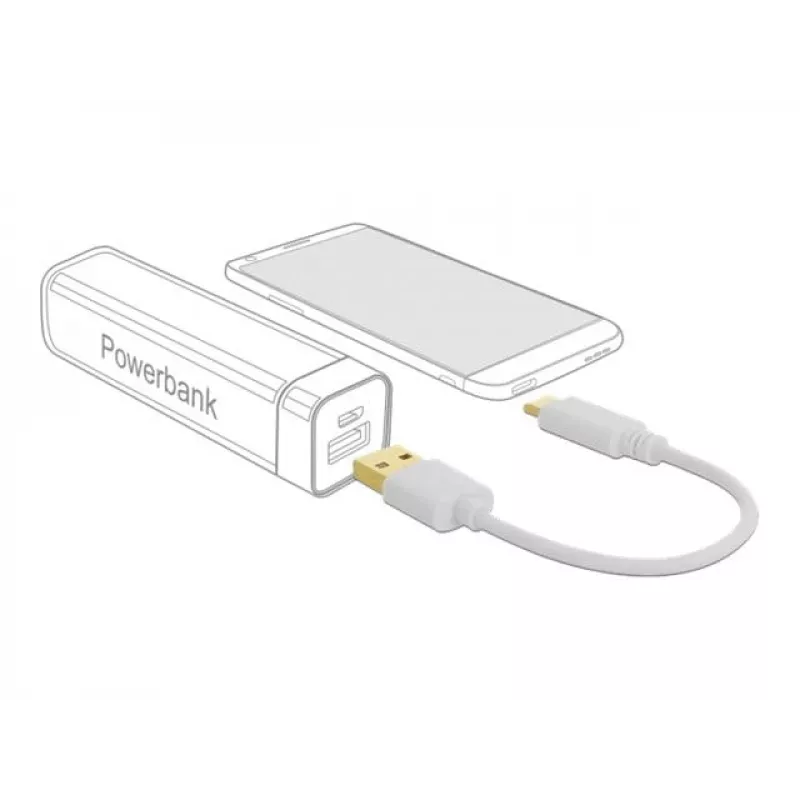 Įkrovimo laidas USB DeLOCK Type-A į USB Type-C 15 cm