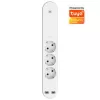 Išmanusis ilgintuvas Denver SHP-310U 3 AC lizdai F tipas 3680 W