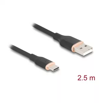 USB laidas DeLOCK 81227 2,5 m USB A USB C juodas