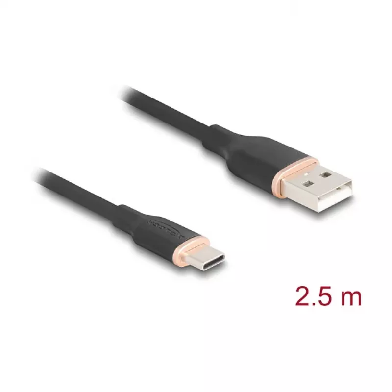 USB laidas DeLOCK 81227 2,5 m USB A USB C juodas
