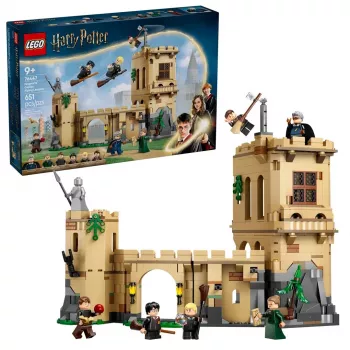 LEGO HARRY POTTER 76447 Hogmilo pilis: Skraidymo pamokos