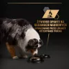 PURINA Pro Plan Kasdienė mityba Visų dydžių Suaugusiems Kalakutiena želėje - šlapias šunų ėdalas - 400g